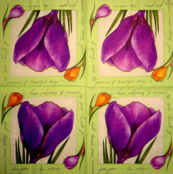 170 Daffodils - 3 ply -